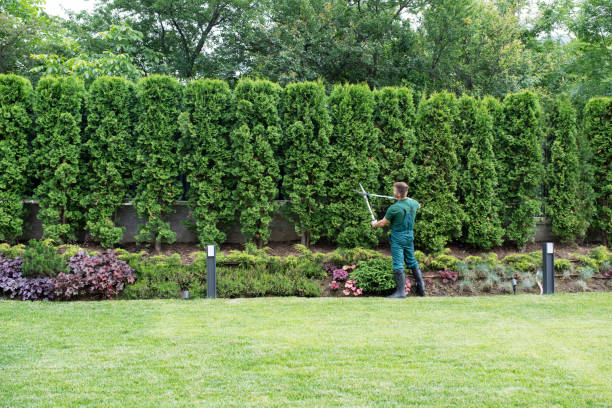 Artificial Turf Installation in Cecil Bishop, PA